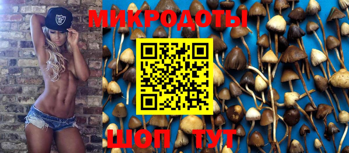 Советский  Псилоцибиновые грибы мицелий  Псилоцибиновые грибы MAGIC MUSHROOMS  Вход с VPN 