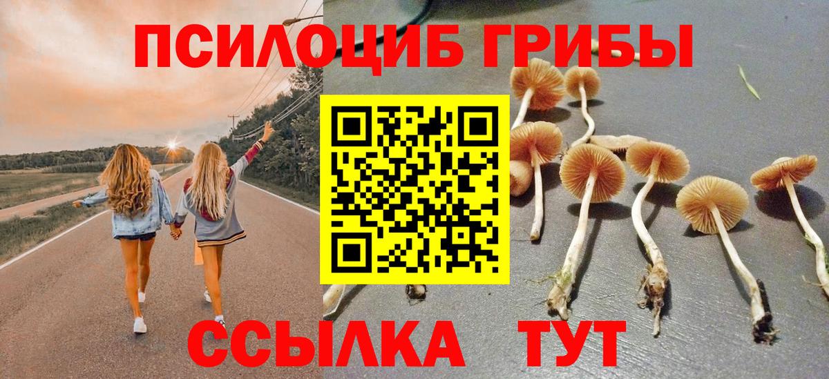 Псилоцибиновые грибы Magic Shrooms Советский